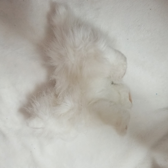 Furreal cat - Picture 2 of 4